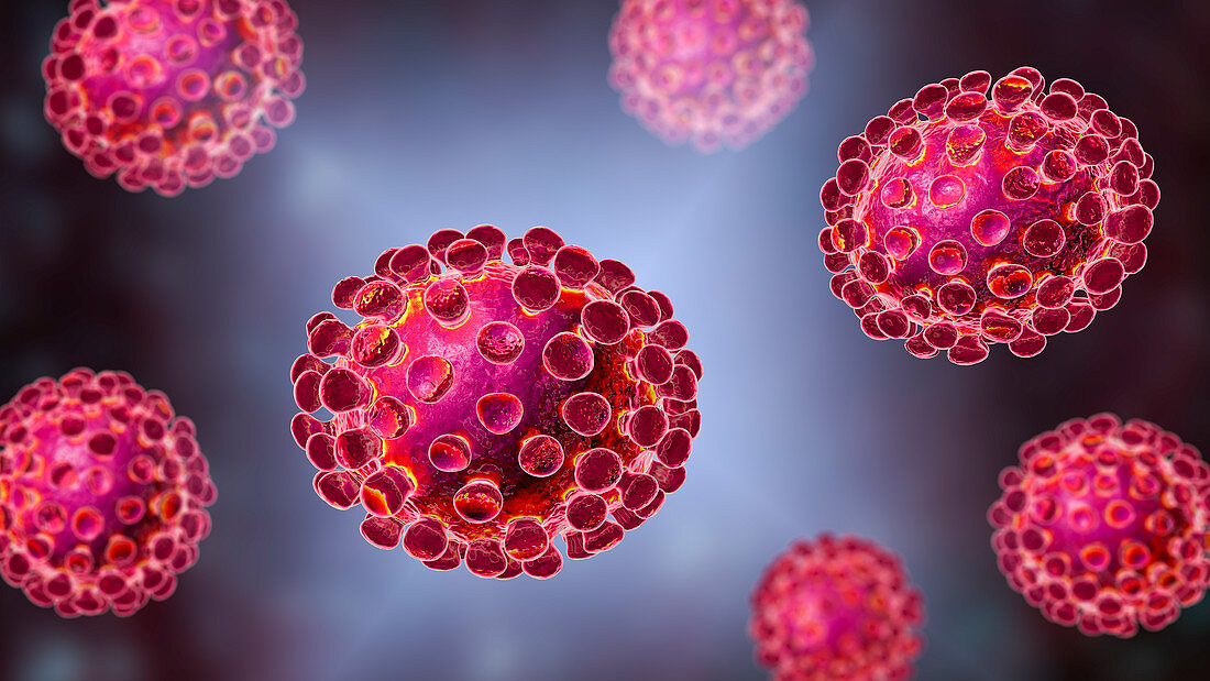 Coronavirus particles, illustration