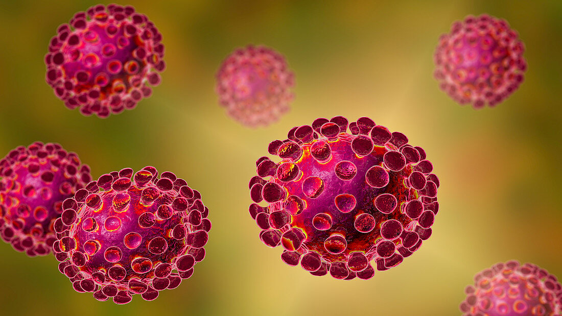 Coronavirus particles, illustration