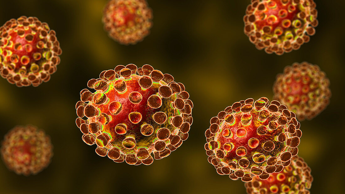 Coronavirus particles, illustration