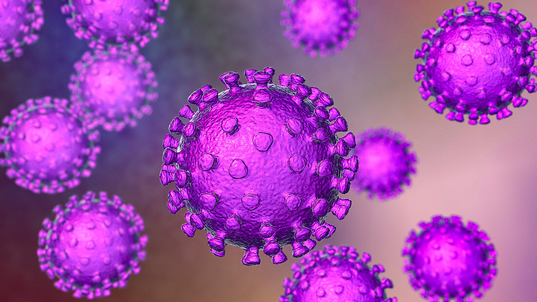 Coronavirus particles, illustration