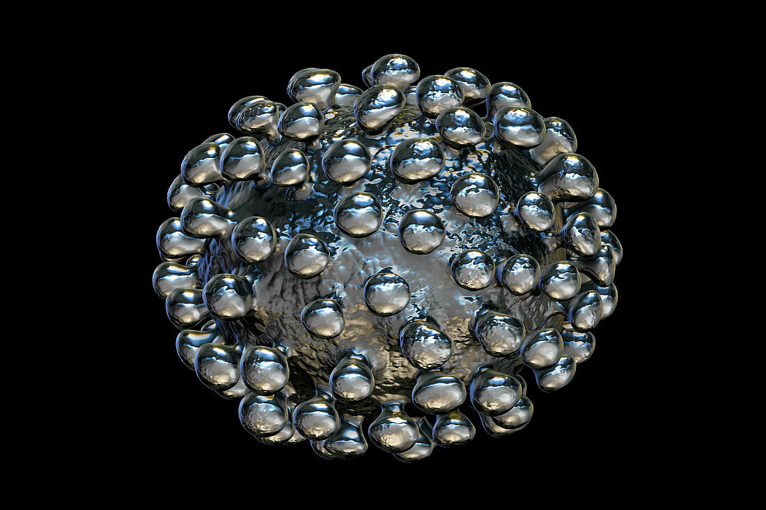 Coronavirus particle, illustration