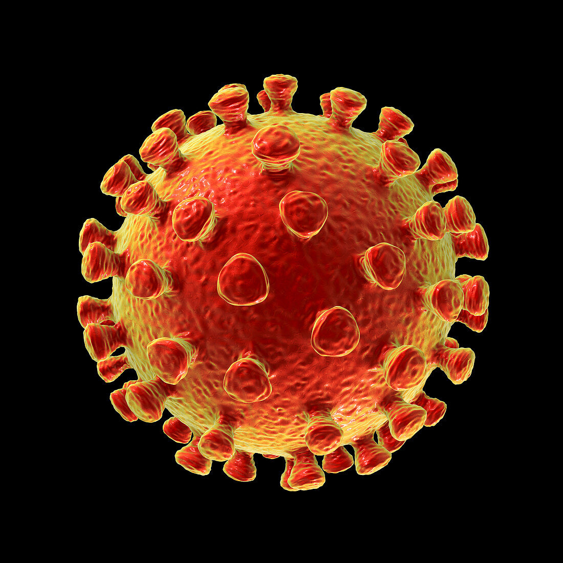 Coronavirus particle, illustration