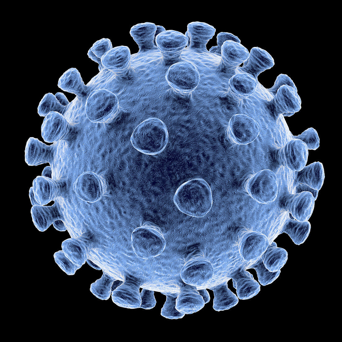 Coronavirus particle, illustration