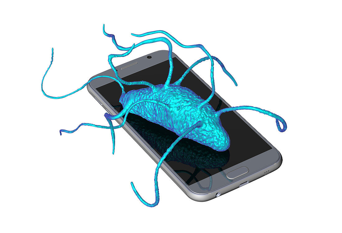 Bacteria found on mobile phone, conceptual illustration