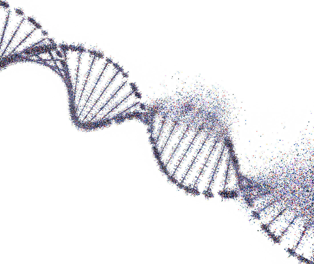 DNA damage, conceptual illustration