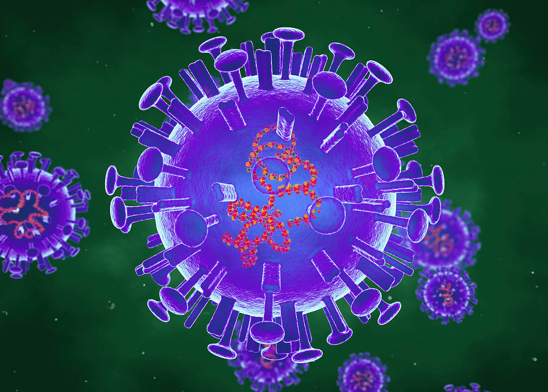 Avian flu viruses, illustration