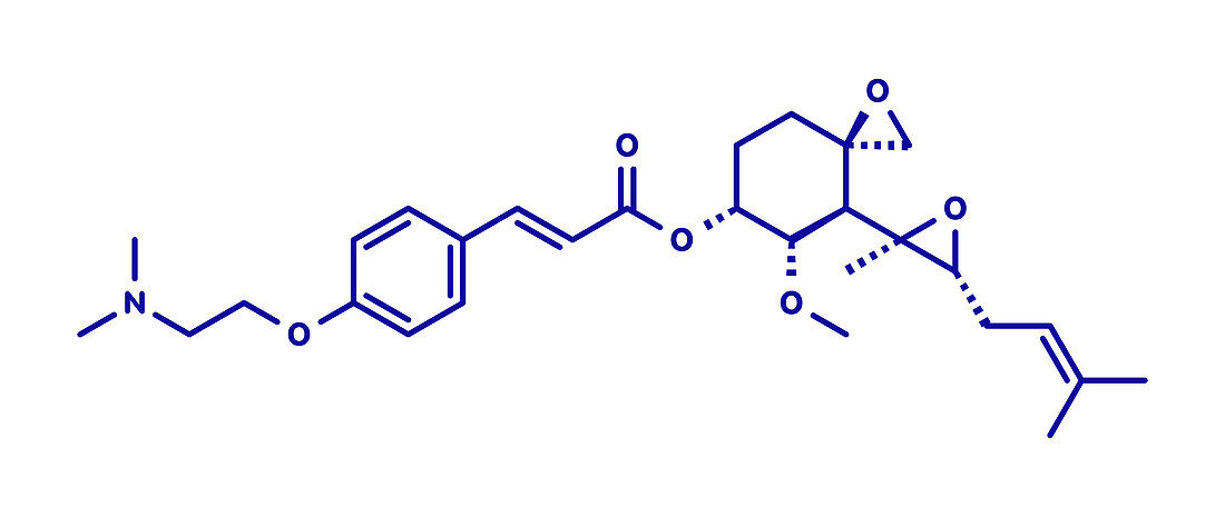 Beloranib obesity drug molecule, illustration