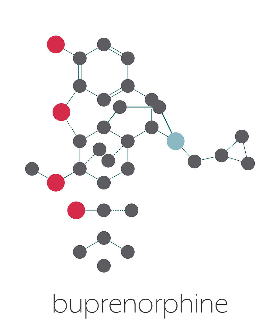 Buprenorphine opioid pain killer drug molecule, illustration
