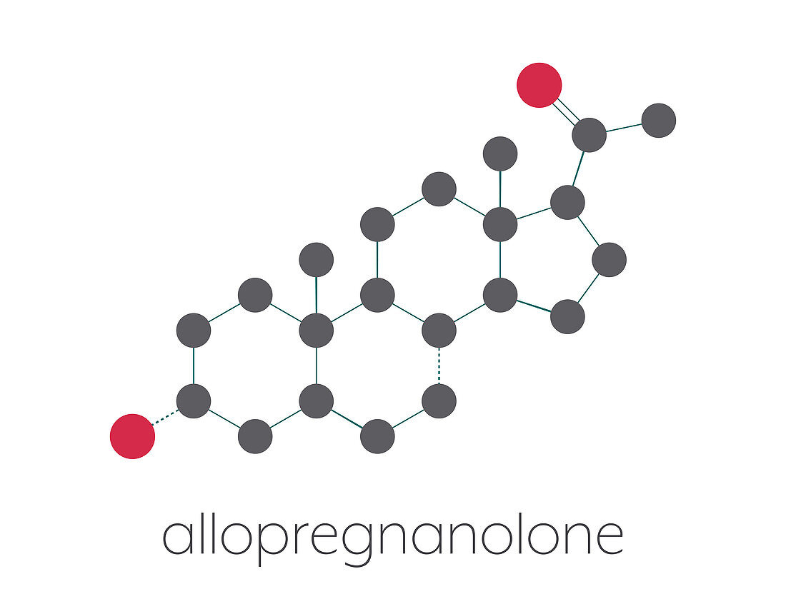 Allopregnanolone drug molecule, illustration