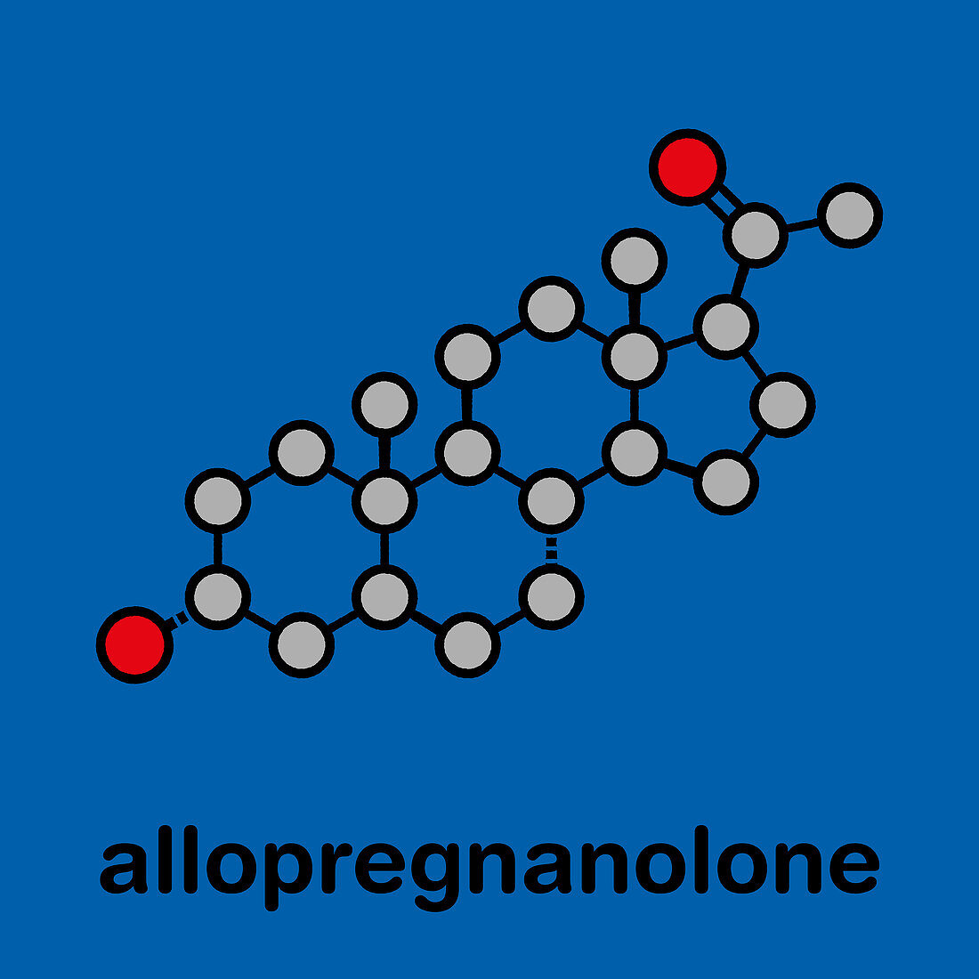 Allopregnanolone drug molecule, illustration