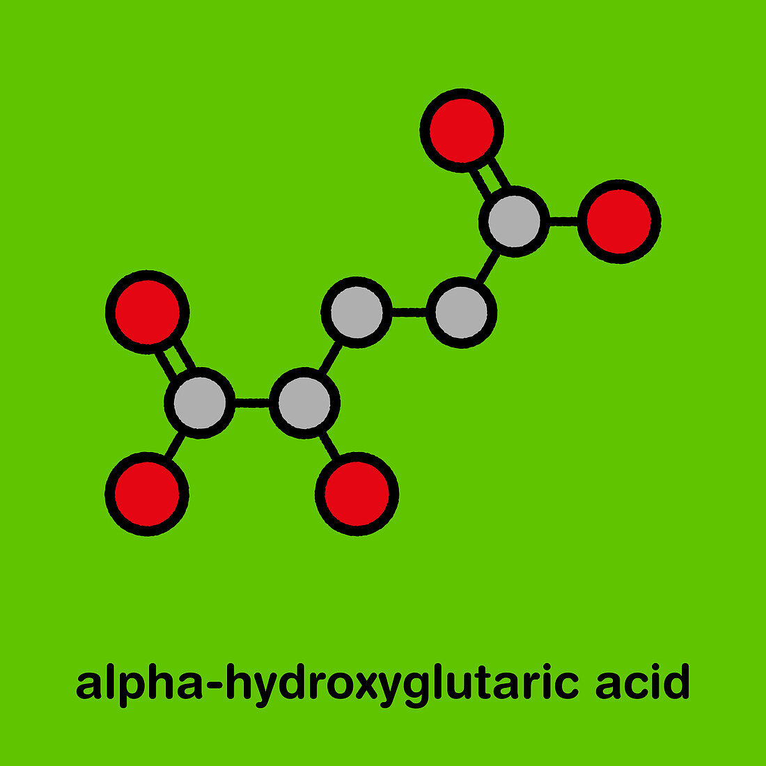 2-hydroxyglutarate molecule, illustration