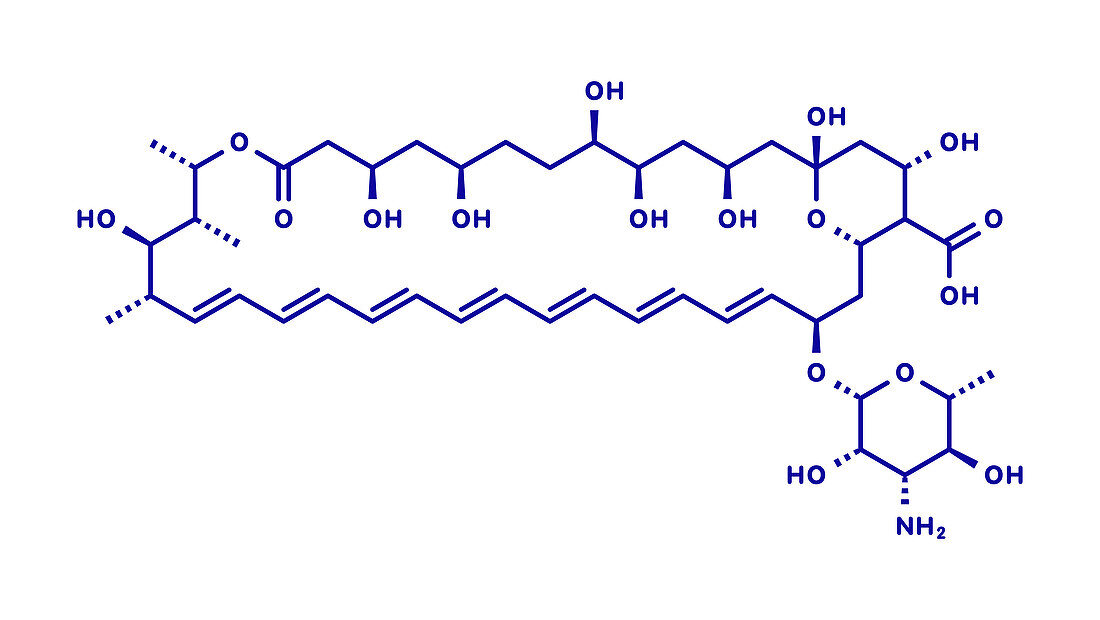 Amphotericin B antifungal drug molecule, illustration
