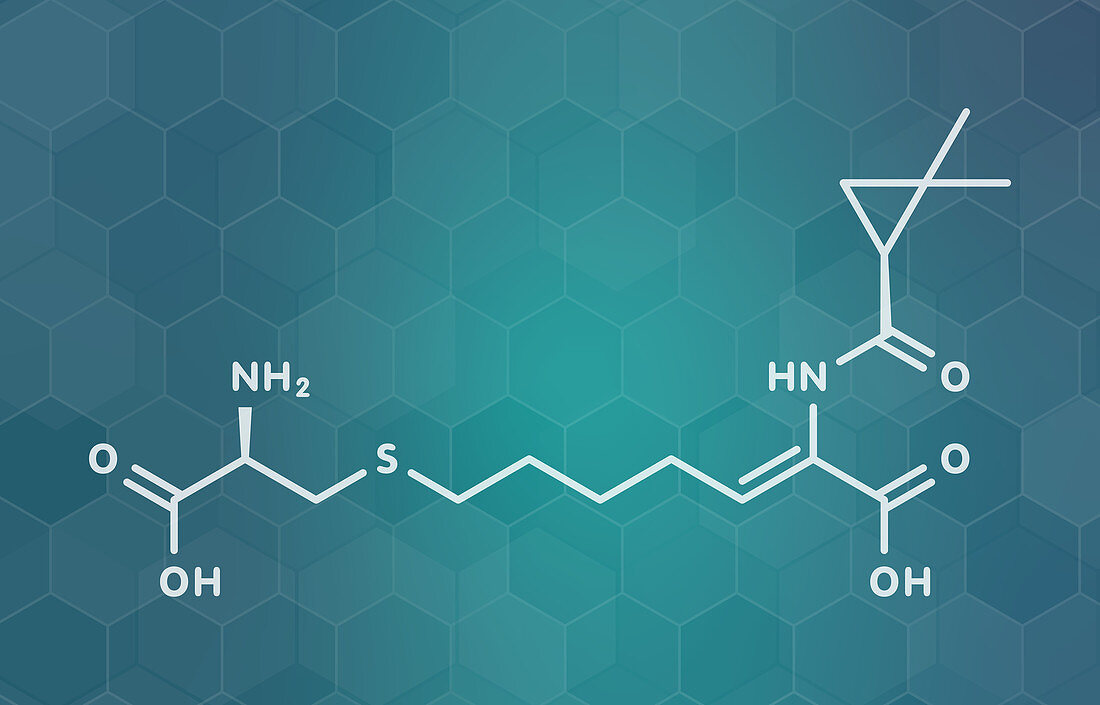 Cilastatin molecule, illustration