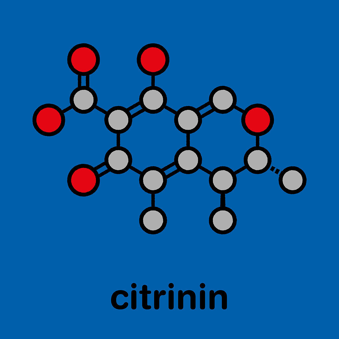 Citrinin mycotoxin molecule, illustration