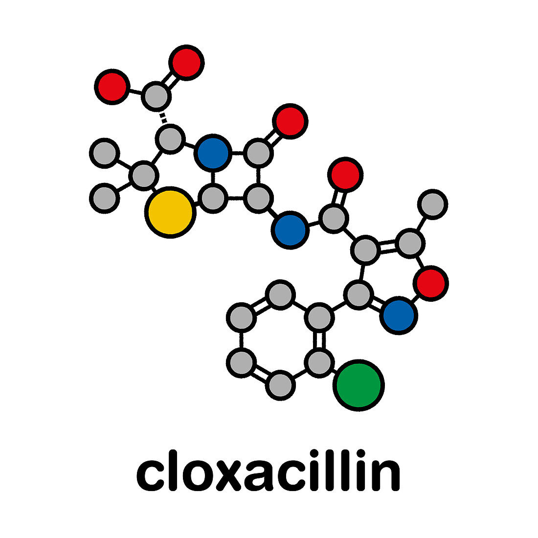 Cloxacillin antibiotic drug molecule, illustration
