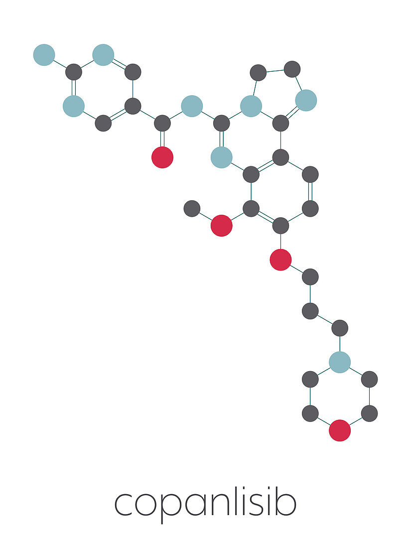 Copanlisib cancer drug molecule, illustration