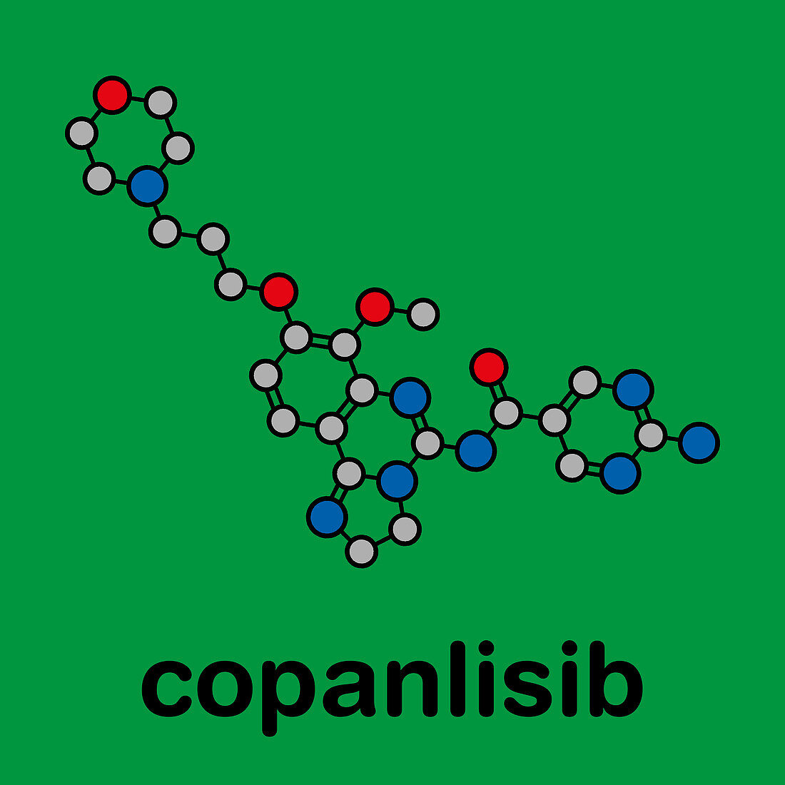 Copanlisib cancer drug molecule, illustration