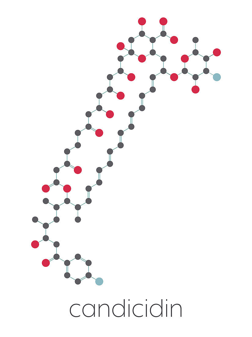 Candicidin antifungal drug molecule, illustration