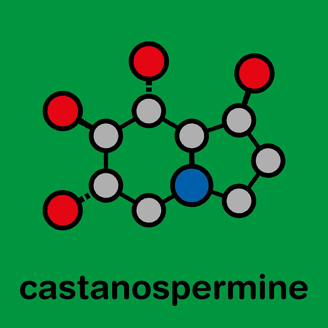 Castanospermine alkaloid molecule, illustration