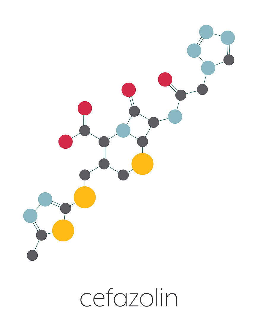 Cefazolin antibiotic drug molecule, illustration