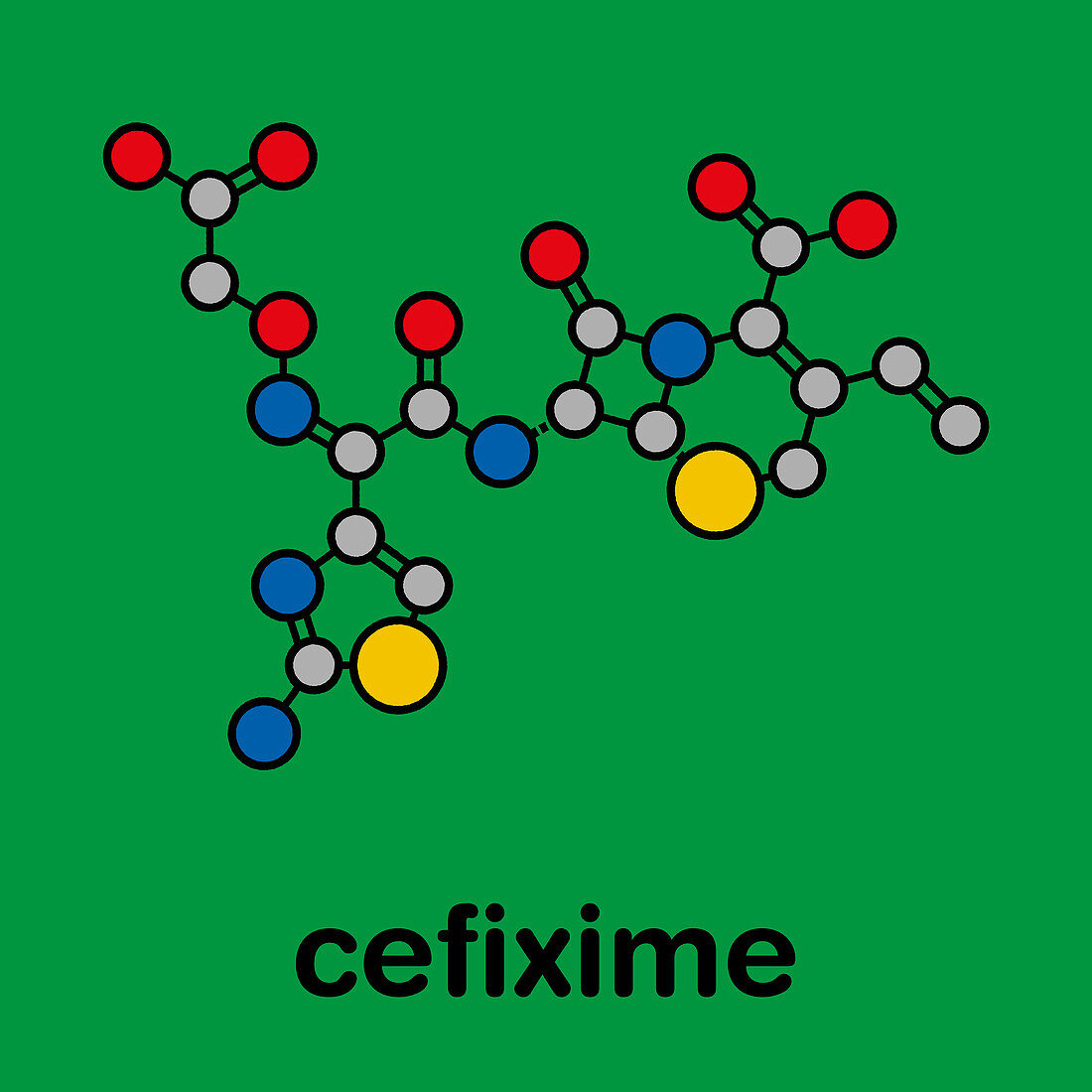 Cefixime antibiotic drug molecule, illustration
