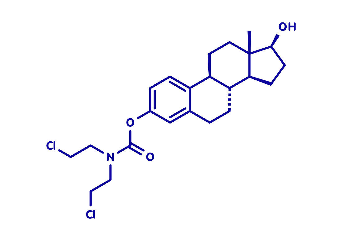 Estramustine prostate cancer drug molecule, illustration