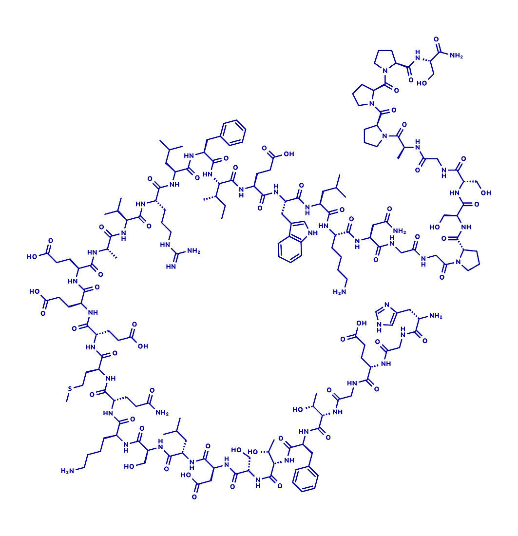 Exenatide diabetes drug molecule, illustration