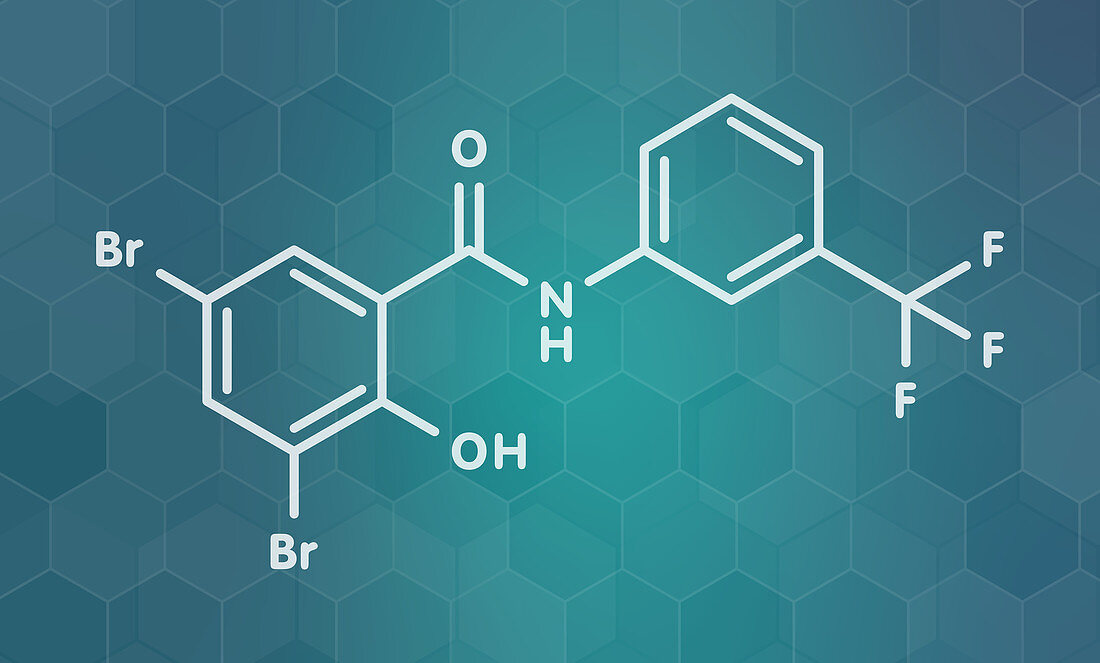 Fluorosalan antiseptic molecule, illustration