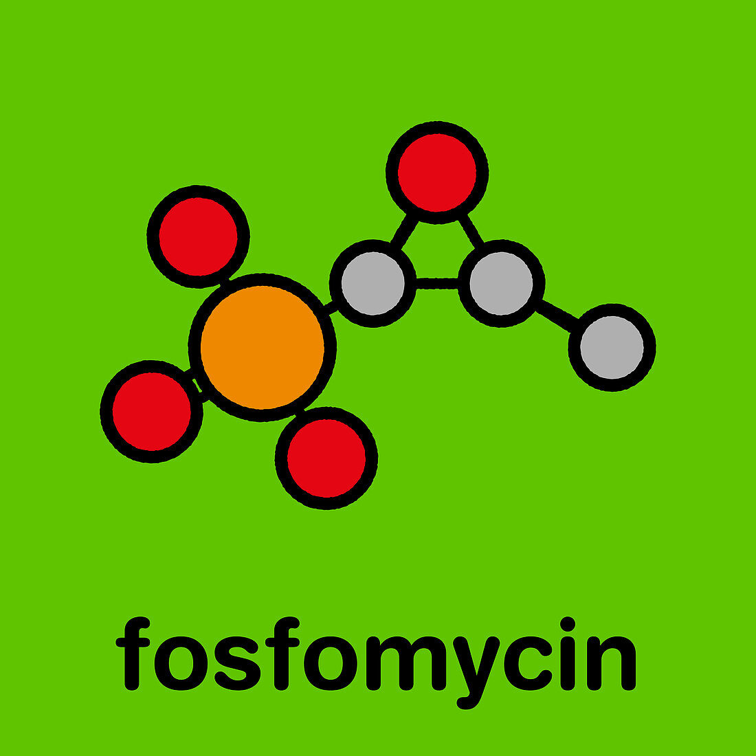 Fosfomycin antibacterial drug, illustration