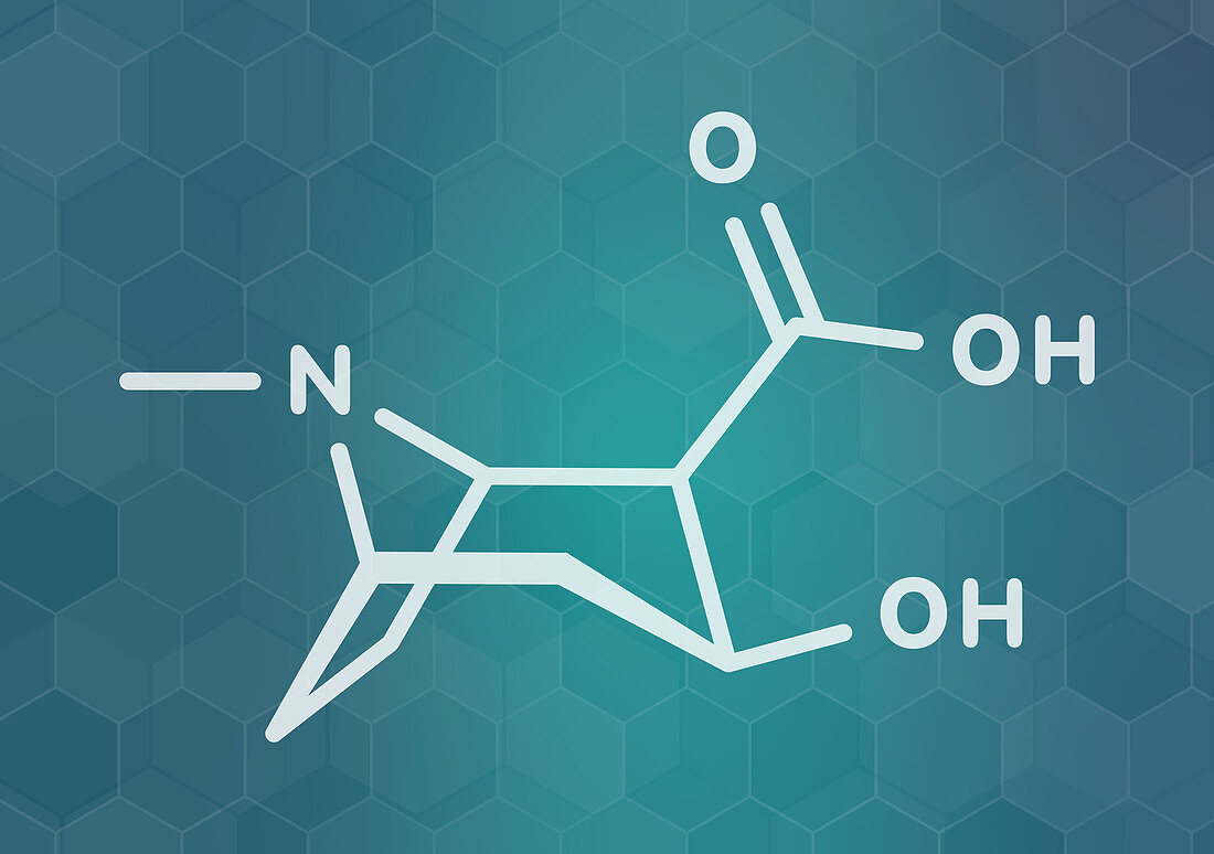 Ecgonine coca alkaloid molecule, illustration