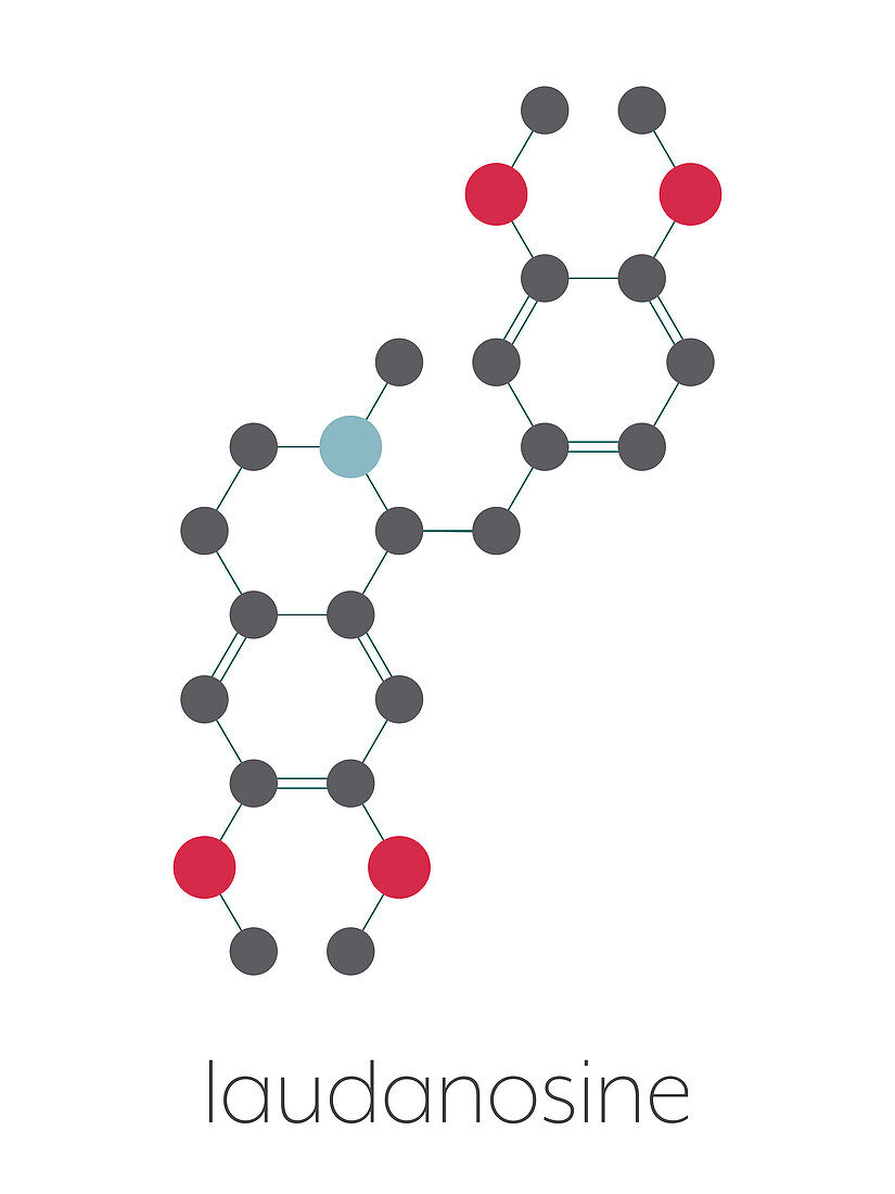 Laudanosine papaver alkaloid molecule, illustration