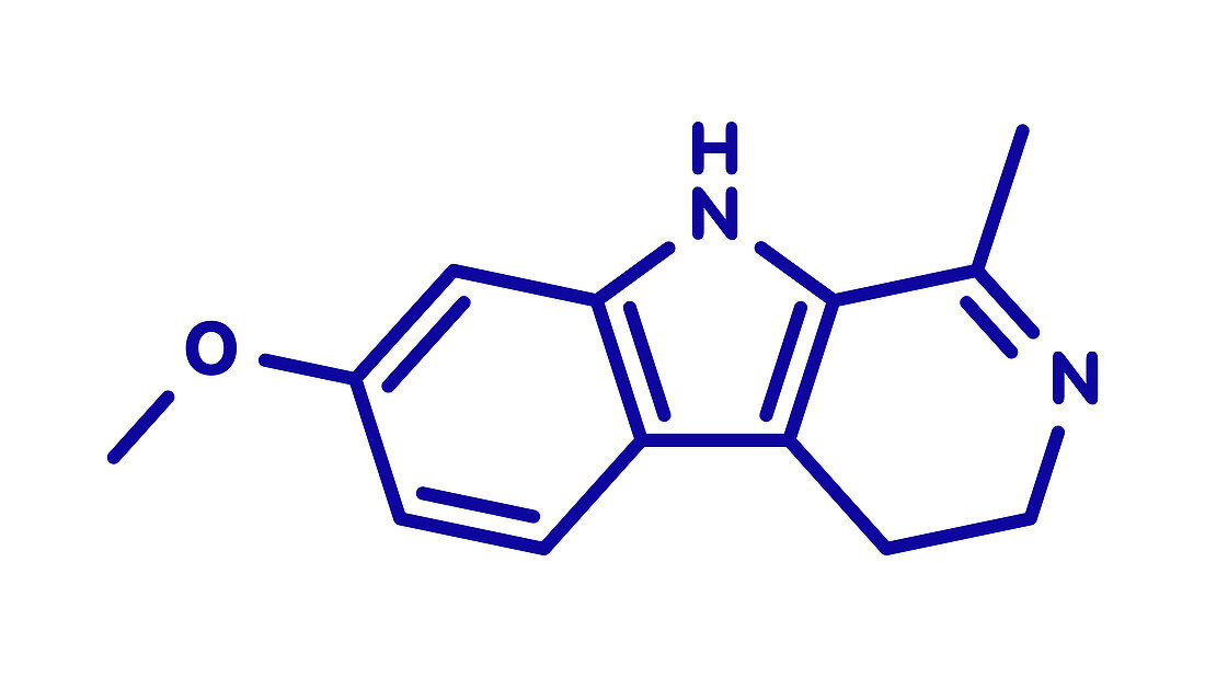 Harmaline indole alkaloid molecule, illustration