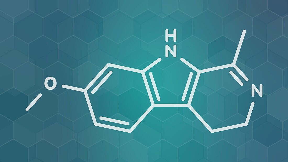 Harmaline indole alkaloid molecule, illustration