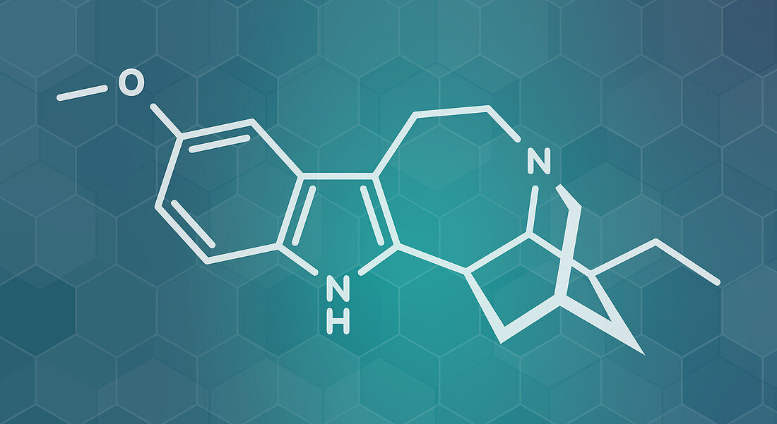 Ibogaine alkaloid molecule, illustration