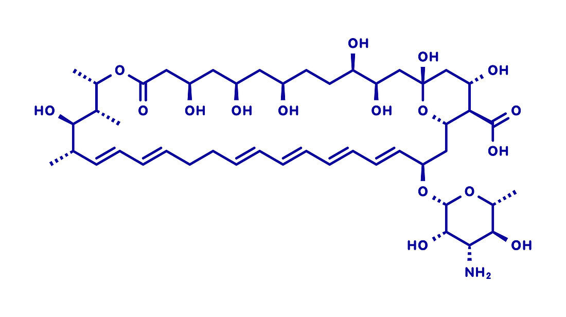 Nystatin antifungal drug molecule, illustration