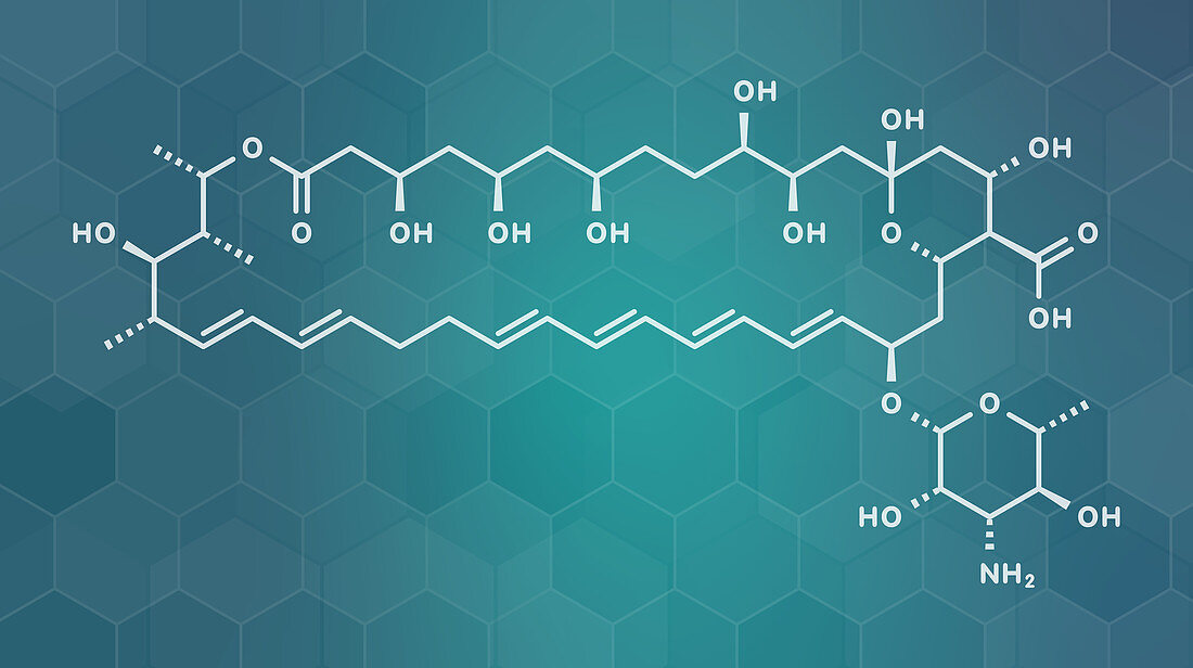 Nystatin antifungal drug molecule, illustration