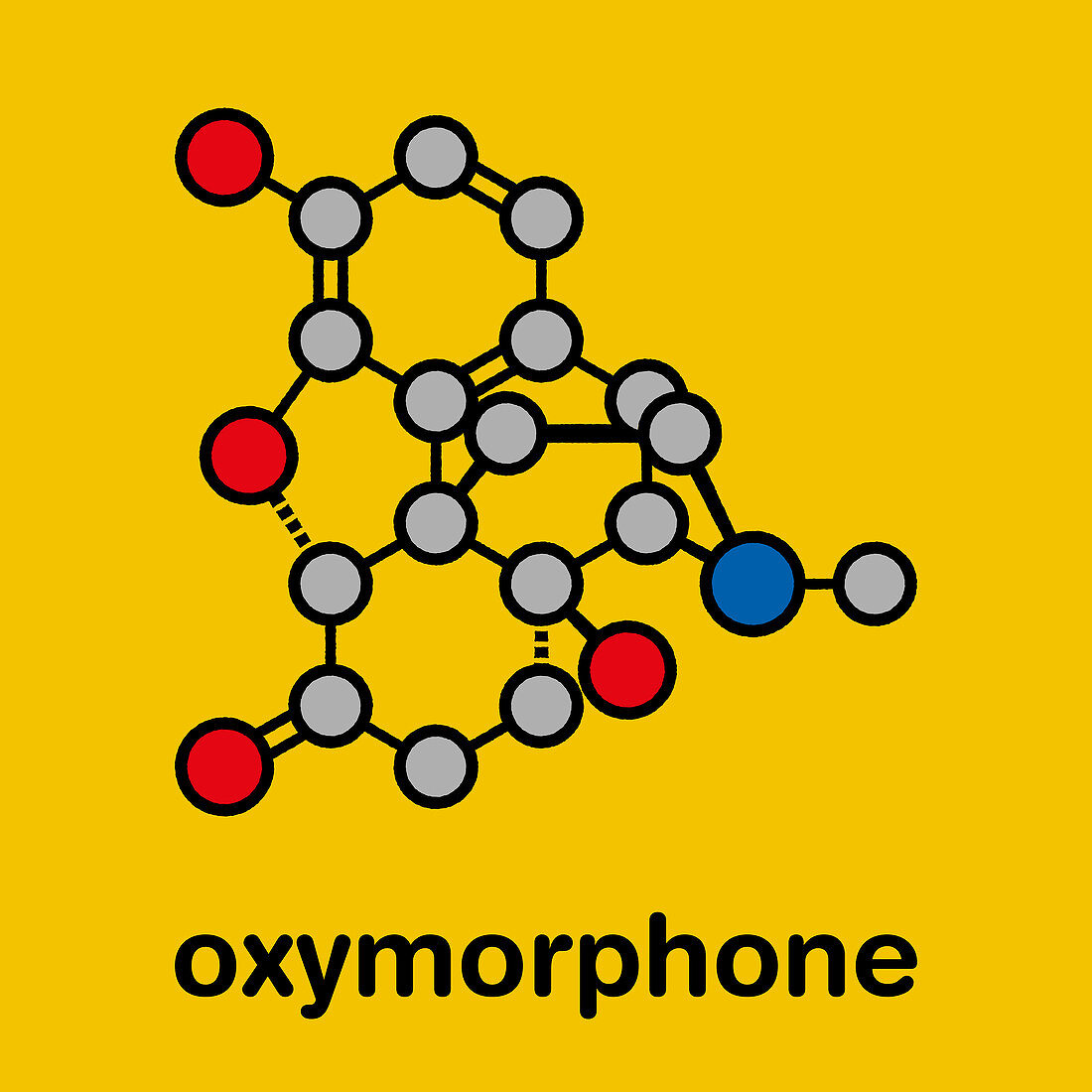 Oxymorphone opioid analgesic drug molecule, illustration