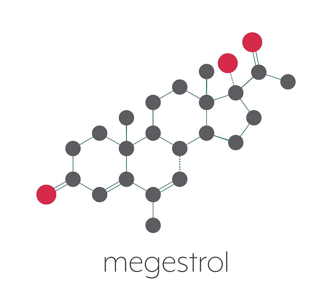 Megestrol appetite stimulant drug molecule, illustration