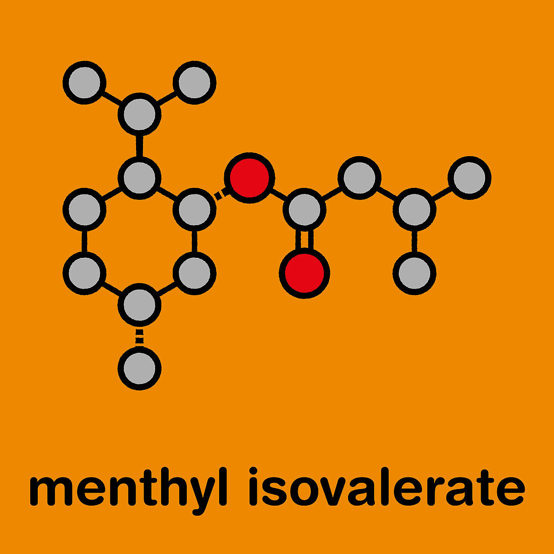 Menthyl isovalerate drug molecule, illustration
