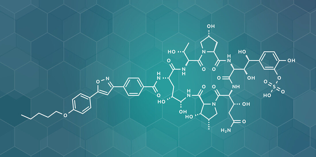 Micafungin antifungal drug molecule, illustration