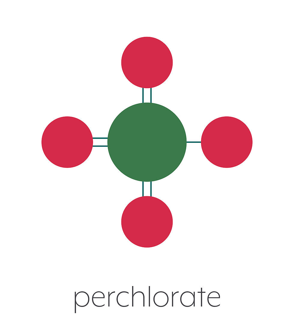Perchlorate anion chemical structure, illustration