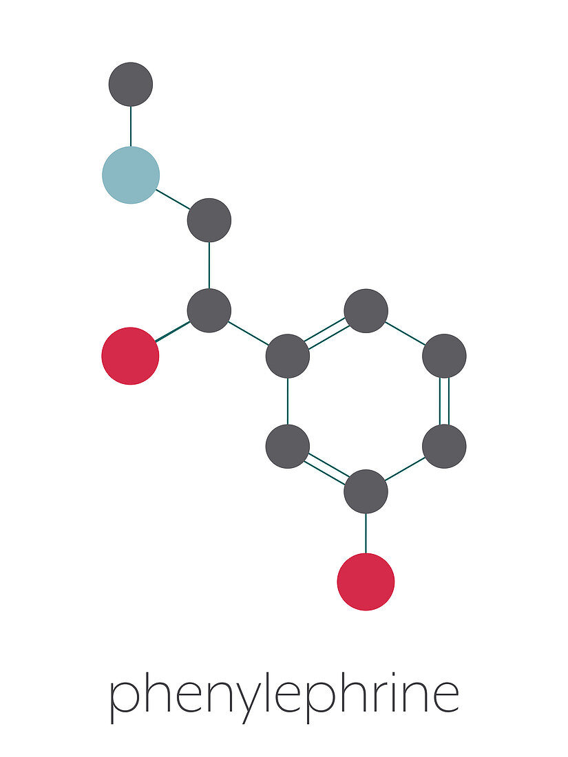 Phenylephrine nasal decongestant drug molecule, illustration