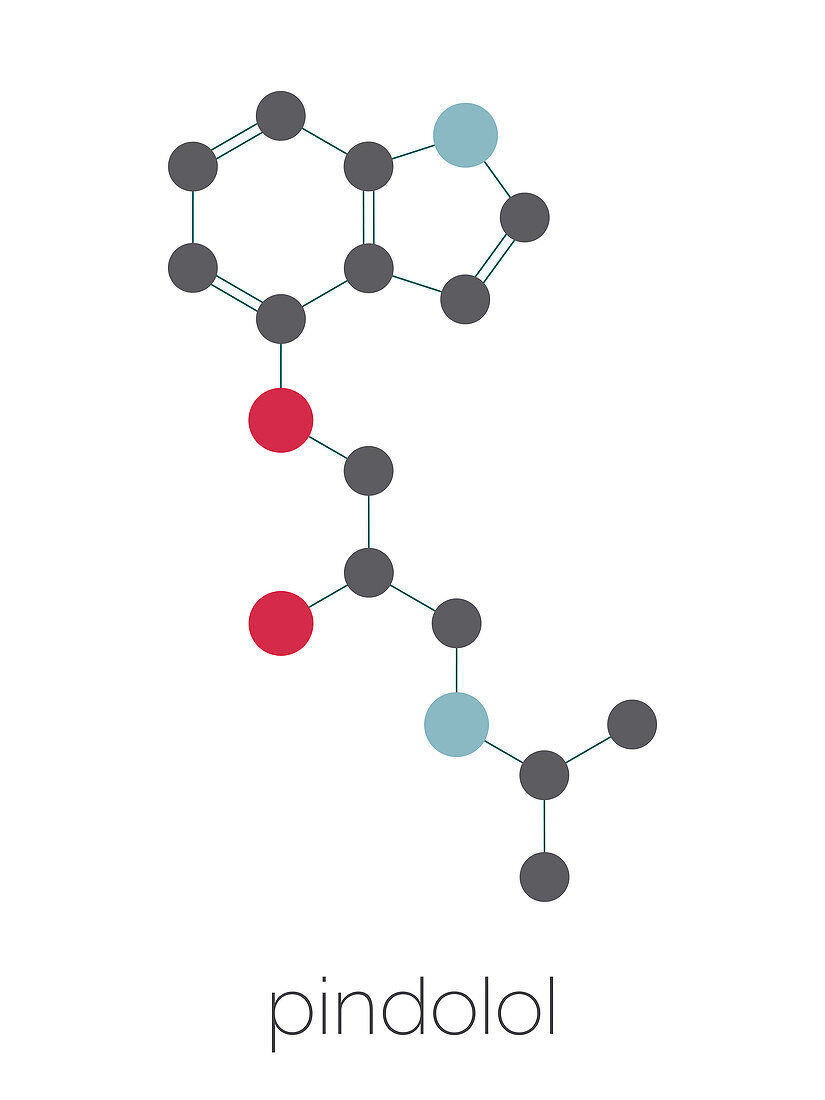 Pindolol beta blocker drug molecule, illustration