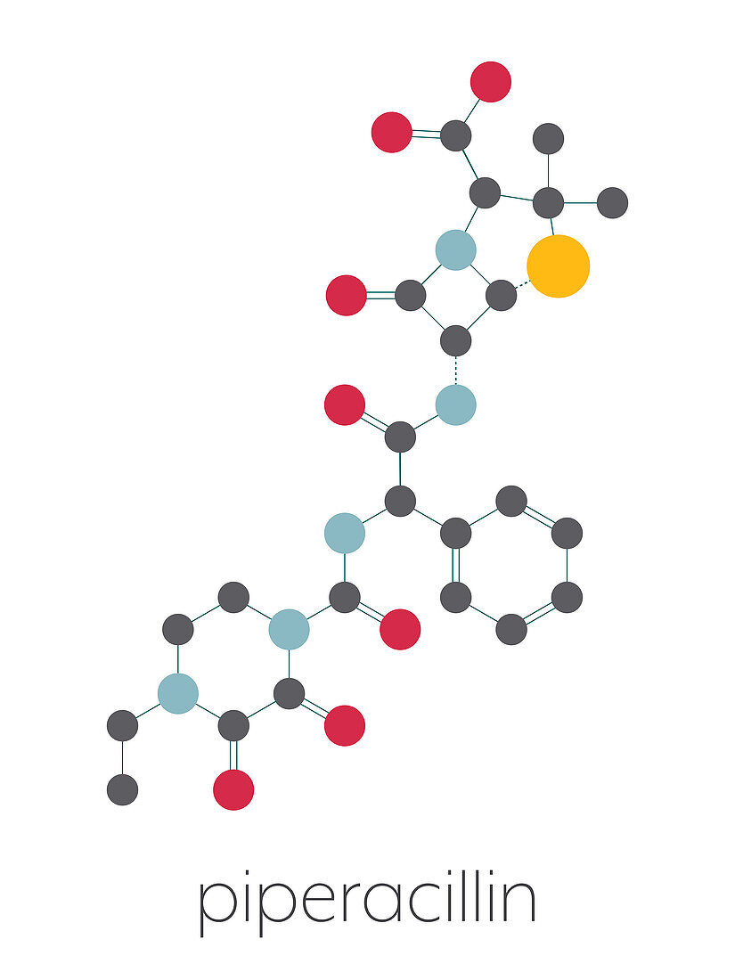 Piperacillin antibiotic drug molecule, illustration