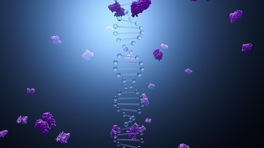 DNA and proteins, illustration