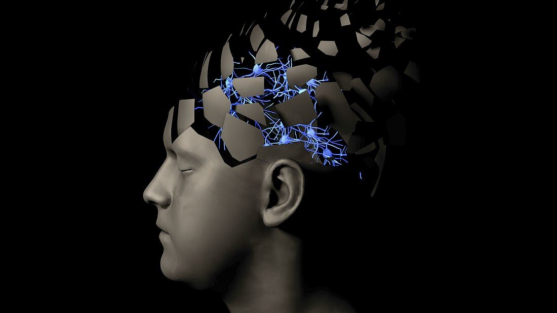 Brain neurons, conceptual illustration