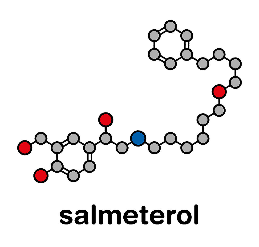 Salmeterol asthma drug molecule, illustration
