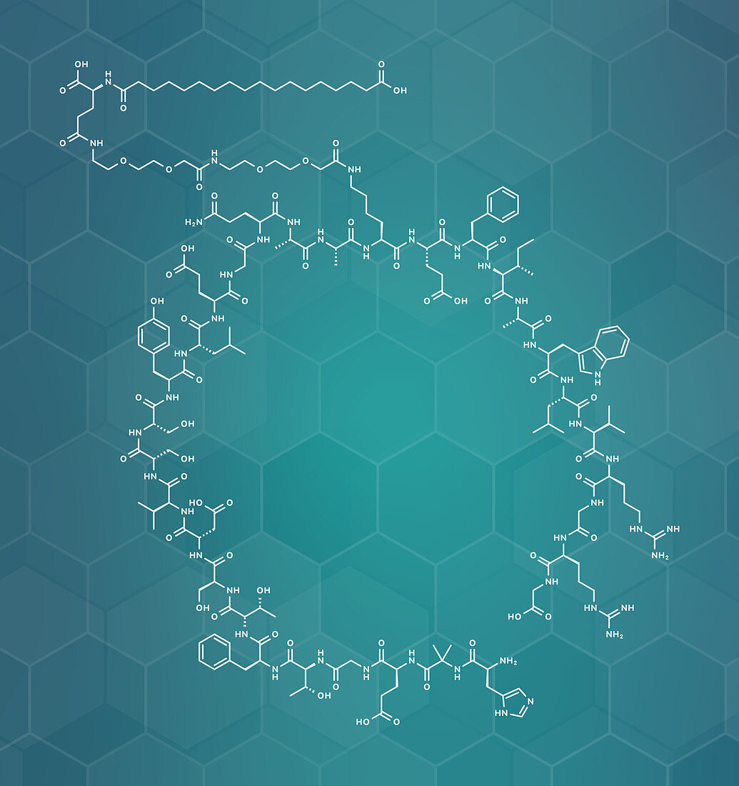 Semaglutide diabetes drug molecule, illustration