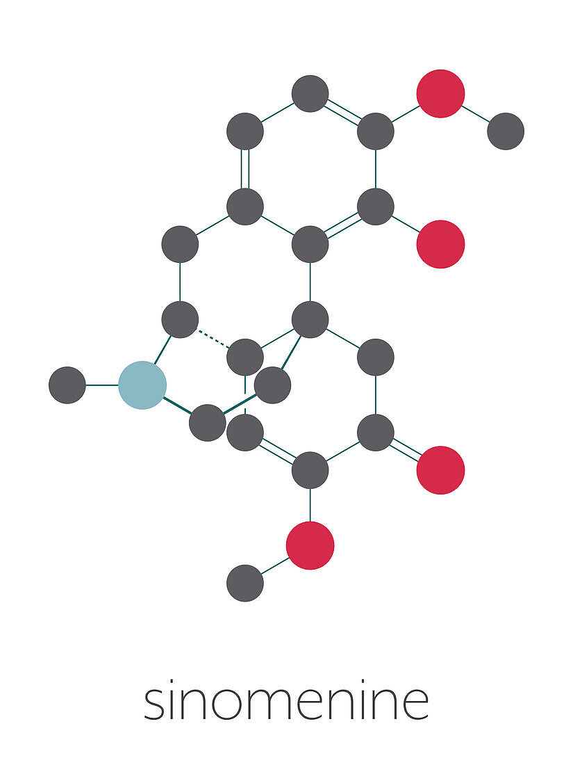 Sinomenine herbal alkaloid molecule, illustration