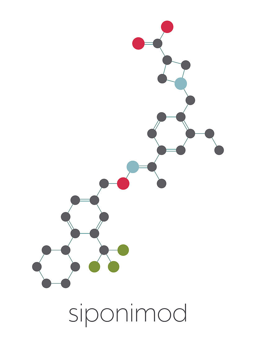 Siponimod anti-inflammatory drug molecule, illustration